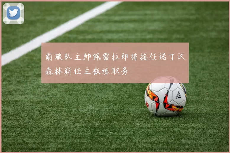 前狼队主帅佩雷拉即将接任诺丁汉森林新任主教练职务