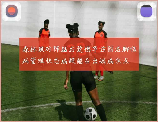 森林狼对阵猛龙爱德华兹因右脚伤病管理状态成疑能否出战成焦点
