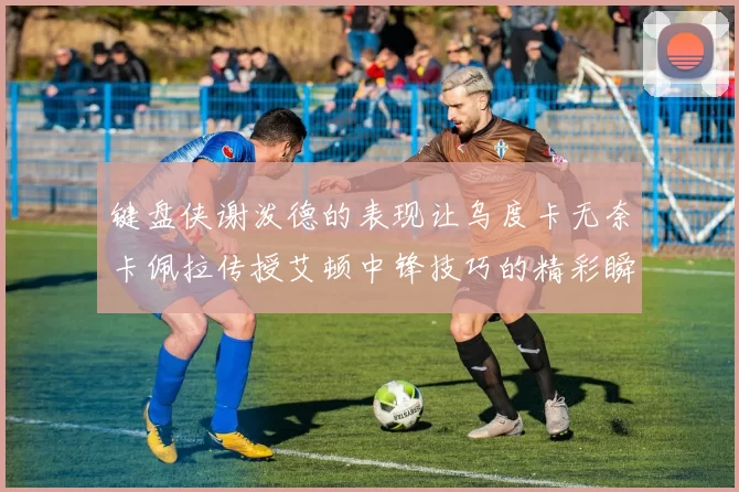 键盘侠谢泼德的表现让乌度卡无奈卡佩拉传授艾顿中锋技巧的精彩瞬间