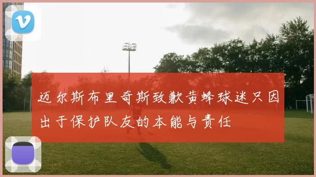 迈尔斯布里奇斯致歉黄蜂球迷只因出于保护队友的本能与责任
